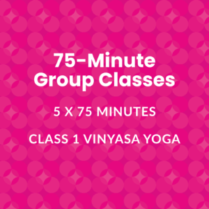 75-Minute Group Classes | Class 1 | Vinyasa Yoga